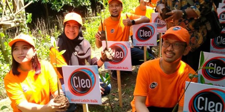 Peduli lingkungan Cleo Pure Water, tanam 5.000 mangrove di Ekowisata Wonorejo