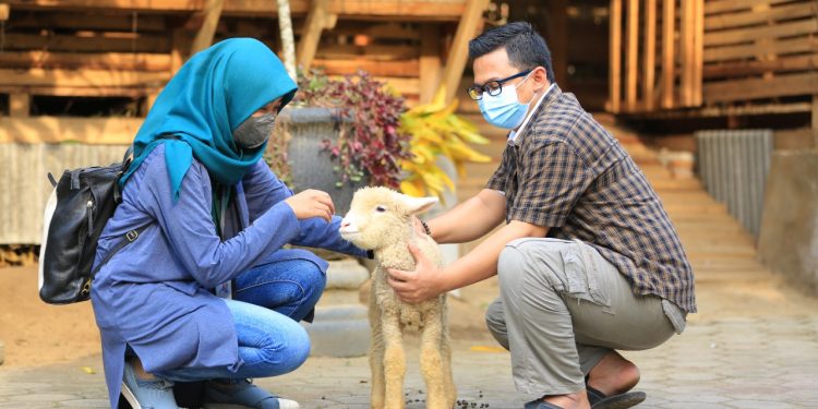 Desa Wisata Sidomulyo Jember suguhkan keindahan pegunungan dan wisata edukasi