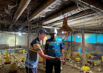 Tahun 2022 konsumsi listrik sektor pertanian di Jatim naik 9,52℅