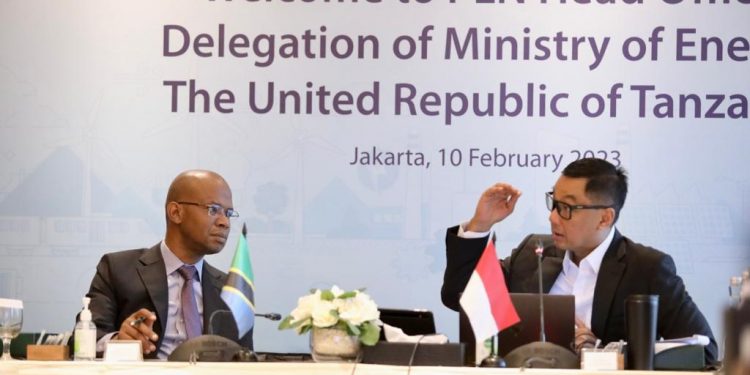 Kunjungi Indonesia, Pemerintah Tanzania ajak PLN bangun sistem kelistrikan untuk Afrika Timur