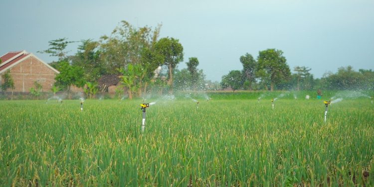 4.265 petani electrifying agriculture PLN siap sukseskan Panen Raya