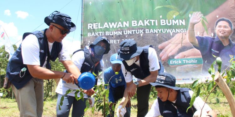 Relawan Bakti BUMN, PTPN XII tanam ribuan bibit pohon di Banyuwangi