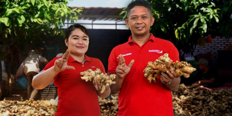 Dapat Suntikan Bantuan Pinjaman Modal Bank Jatim, Petani yang juga Pengusaha ini Sukses Ekspor Jahenya