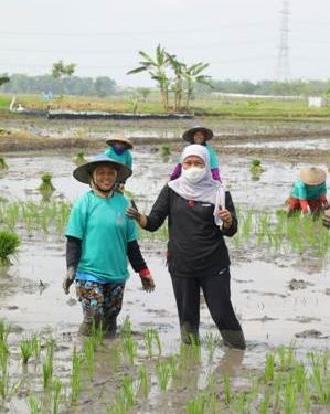 Gubernur ajak masyarakat sukseskan pelaksanaan sensus pertanian 2023 di Jatim