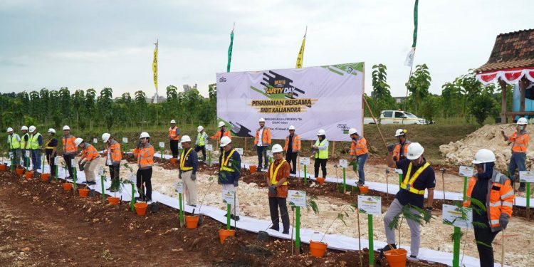 SIG tanam 143 ribu batang pohon Kaliandra Merah di Sumatra Barat dan Tuban, Jawa Timur