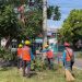 Amankan jaringan listrik masyarakat, PLN UP3 Madiun giatkan GRAB POTAS