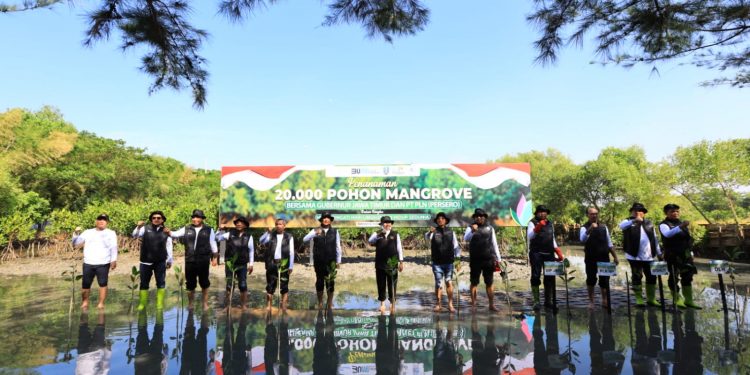 Tandai HLH, PLN UID Jatim gandeng Pemprov Jatim tanam 20.000 mangrove