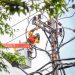 Sampai Juni 2023, PLN UID Jatim ikut serta dalam menurunkan gangguan listrik hingga 30%