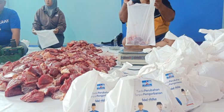 Sembelih 5 ekor sapi, Partai Demokrat Jatim bagiakan 1000 paket daging kurban untuk masyarakat