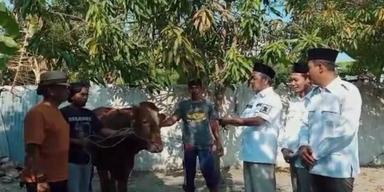 Anggota DPRD ini serahkan hewan kurbannya pada PSHT Bojonegoro