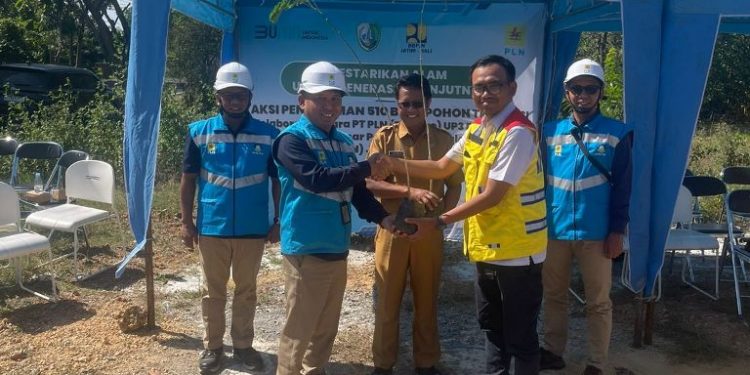 Sampai Juli 2023, PLN UID Jatim telah tanam 20ribu mangrove dan 1010 pohon produktif
