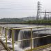 Tingkatkan Bauran Energi Bersih, PLN Operasikan 2 PLTA dan 3 PLTM Berkapasitas Total 36,6 MW