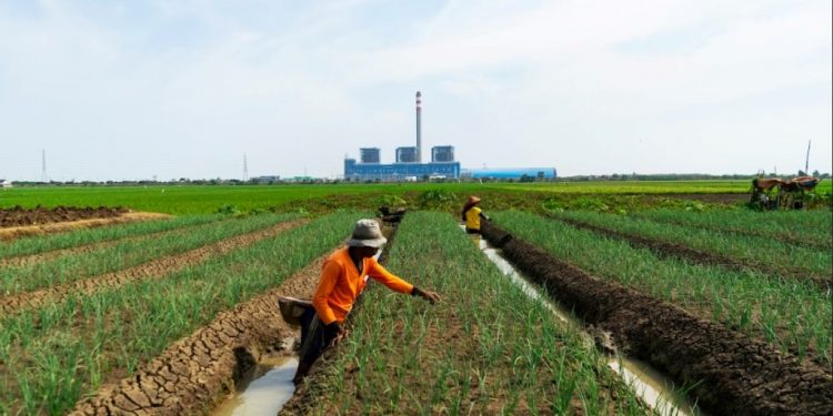 PLN NP sudah hasilkan 180,9 GWh energi bersih di semester dua 2023
