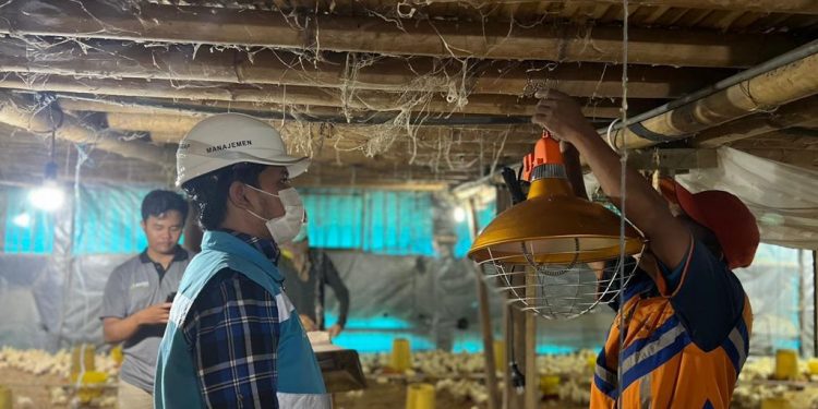 Semester I/2023, Program Electrifying Agriculture PLN tumbuh 22,28 Persen