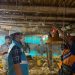Semester I/2023, Program Electrifying Agriculture PLN tumbuh 22,28 Persen
