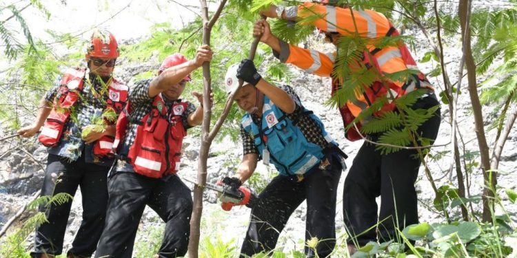 SIG Tingkatkan Penggunaan Biomassa sebagai bahan bakar ramah lingkungan jadi 2,7 Juta Ton