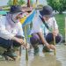 Lewat program CSR, PLN NP sudah tanam 100 ribu mangrove di sekitar area unit pembangkit