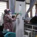 Bakteri Salmonella sp, penyebab puluhan warga Kalilom Lor keracunan daging kurban