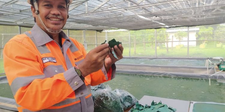 Semester I/2023, SIG catatkan laba sebesar Rp866 Miliar