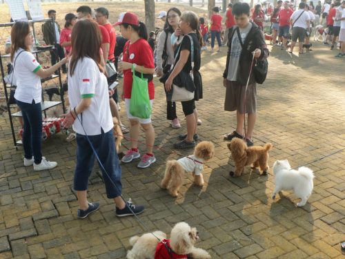 Fun Pawrade Dogs Walk 2023, semarakkan HUT RI ke 78 warga Citraland