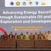 PGN Grup serap pasokan LNG IDD Bangka dari WK Rapak