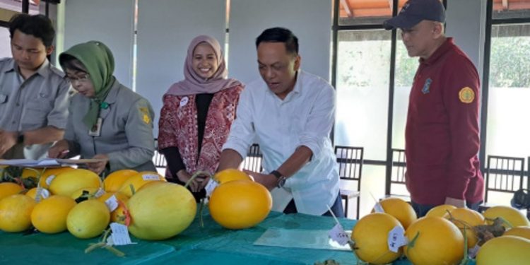 Manfaatkan lahan kosong, Anas Karno dukung urban farming di tiap kecamatan