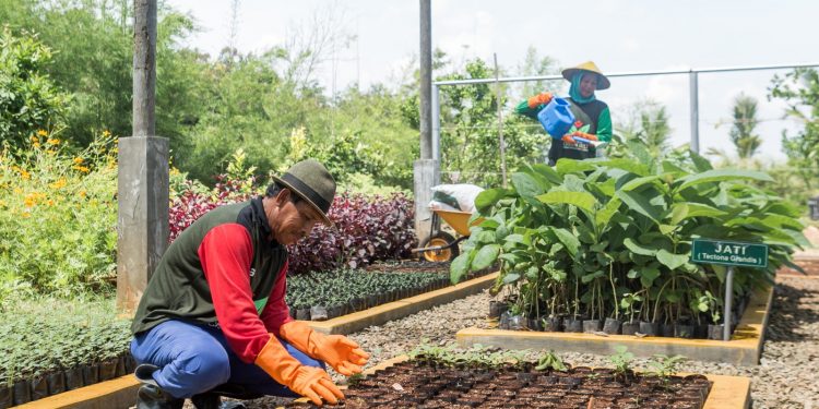 SIG dan Semen Padang Raih Subroto Award 2023 untuk Inovasi Berkelanjutan di Lahan Reklamasi