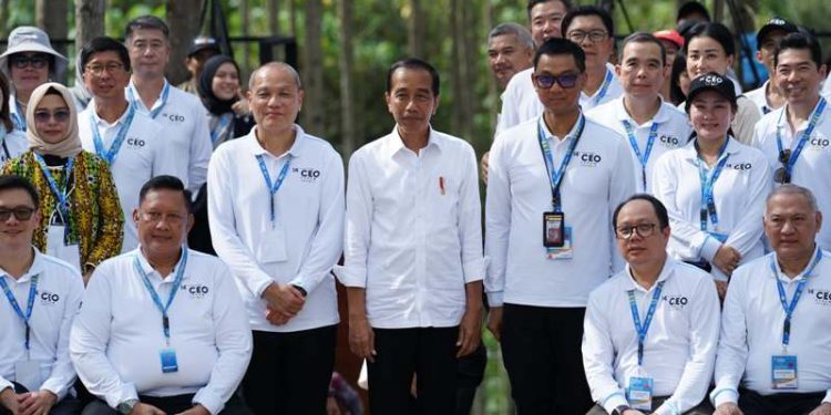 PLN siap pasok energi bersih untuk IKN berbasis EBT