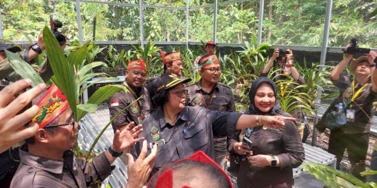 Dukungan PLN NP untuk Pelestarian Anggrek Kalimantan melalui Rumah Anggrek Palangkaraya