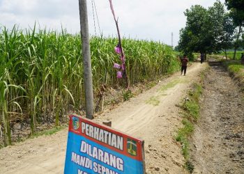 SGN Normalisasi Kanal untuk Cegah Banjir dan Akses Petani di Kediri