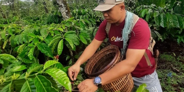 Berkat pendampingan Rumah BUMN Baturaja, Deni Saputra wujudkan mimpinya jadi pengusaha Cafe