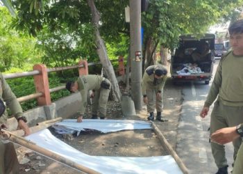 Satpol PP Surabaya dan Panwascam terus tertibkan APK laggar aturan