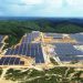 PLN Operasikan PLTS 10 MW, tunjukan dukungan terhadap IKN terkait energi bersih