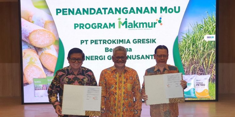 SGN MoU dengan PT Petrokimia Gresik penuhi Kebutuhan Pupuk Petani Tebu dengan Program Makmur