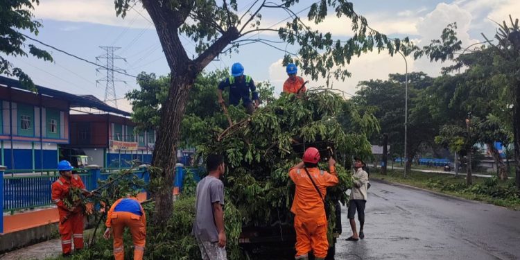 PLN UIT JBM gandeng Stakeholder Bersihkan Pohon di Jalur ROW, agar Masyarakat Madura nyaman menjalankan Ibadah Ramadhan