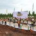 SIG Tanam Lebih dari 500 Ribu Pohon untuk Peringati Hari Hutan Internasional 2024 di Lahan Pascatambang Pabrik Tuban
