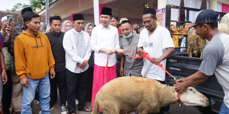 Dukung Gus Fawait, pedagang sapi, kambing dan domba sumbang kambing untuk biaya gus Fawait maju Pilkada Jember 2024