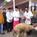 Dukung Gus Fawait, pedagang sapi, kambing dan domba sumbang kambing untuk biaya gus Fawait maju Pilkada Jember 2024