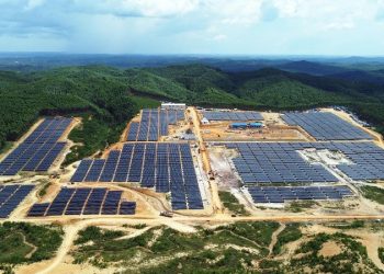 PLN Nusantara Power: Membangun Indonesia Hijau Melalui Inovasi dan Komitmen Energi Bersih