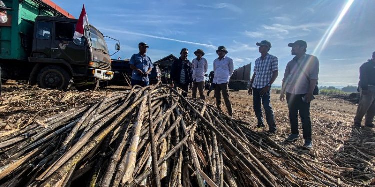 Pabrik Gula SGN Siap Giling Tebu Petani untuk Kebutuhan Gula 2024
