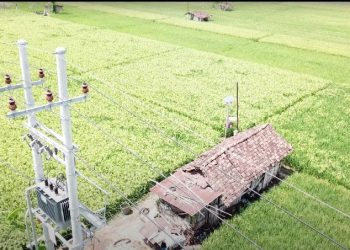 Panen Raya Sukses: Listrik Tingkatkan Produktivitas Pertanian Ponorogo