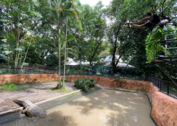 Sambut libur Lebaran, KBS target pengunjung bertambah 100 persen