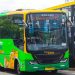 Agustus Bus Trans Jatim Koridor Gresik – Lamongan akan dioperasikan