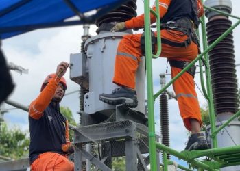 PLN UIT JBM Tingkatkan Keandalan GI 150kV Banyuwangi Menyambut WWF ke-10 di Bali
