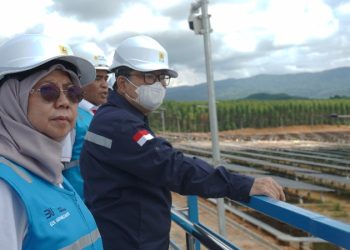 Direktur Jenderal Ketenagalistrikan Apresiasi PLN Nusantara Power di PLTS IKN