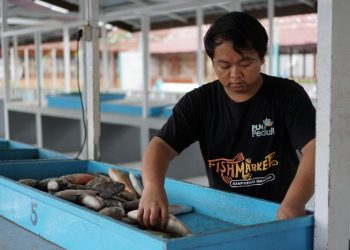 Kampung Mandar Fish Market Banyuwangi Raih Penghargaan dari Kemendesa PDTT