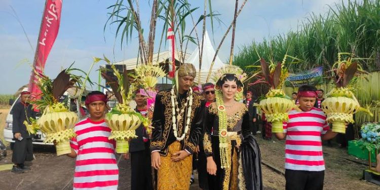 Selamatan Buka Giling di PG Semboro: Simbol Harmonisasi dengan Petani Tebu