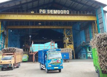 Tahun 2024, SGN PG Semboro targetkan Giling Tebu capai 793 ribu Ton