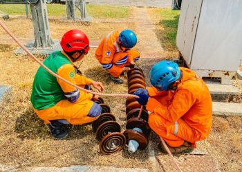PLN UIT JBM selesaikan penggantian Isolator di Malang Jelang Idul Adha