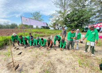 PLN Nusantara Power Dukung Pelestarian Maleo di Tangkoko